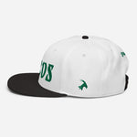 "BIRDS" Snapback Hat