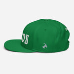 "BIRDS" Snapback Hat