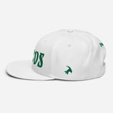 "BIRDS" Snapback Hat